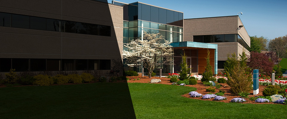 Saint Louis Landscapers