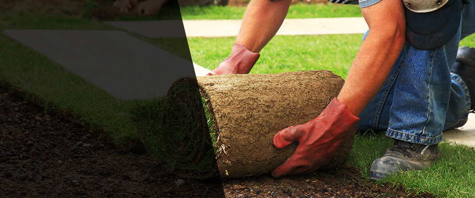 Saint Louis Landscapers